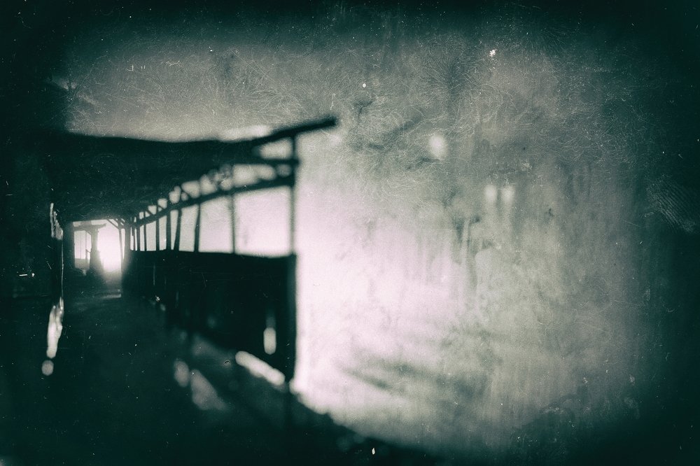 Photograph by Александр Малютин