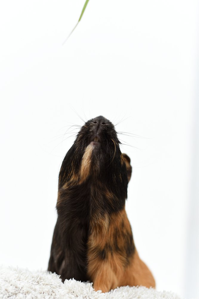 Photograph by Александр