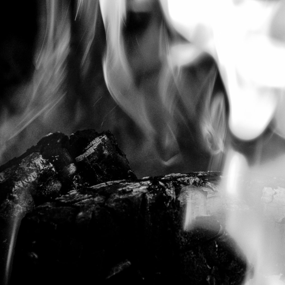 Photograph by Ahmadreza 7Shot