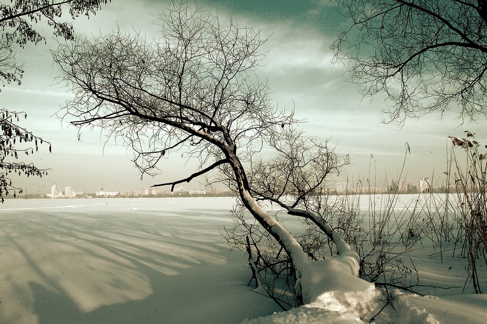 ЗИМНИЙ  ЭТЮД