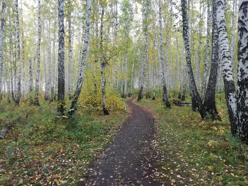 Photo #5070075