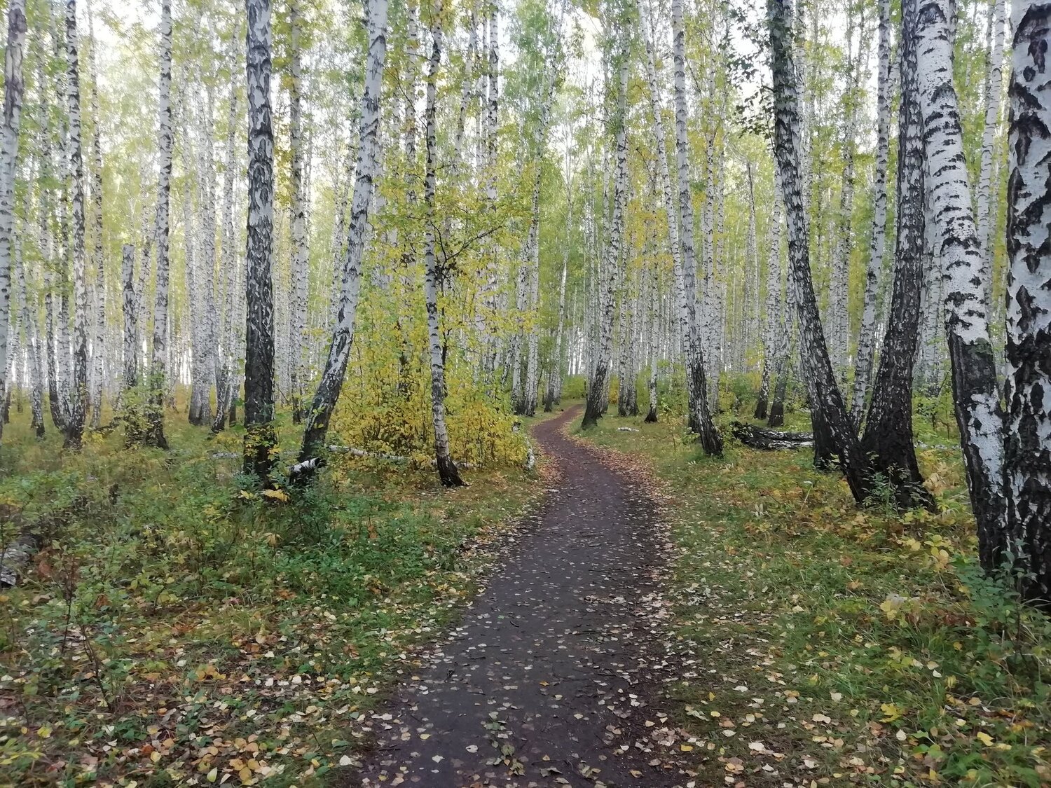 Photo #5070075