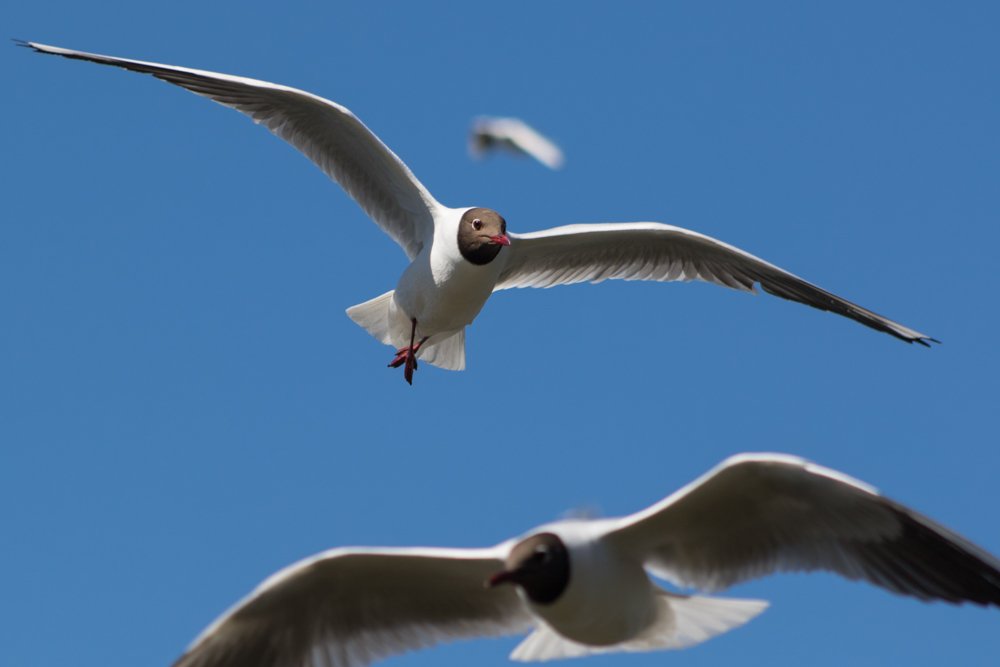 Photograph by Марина Хилько