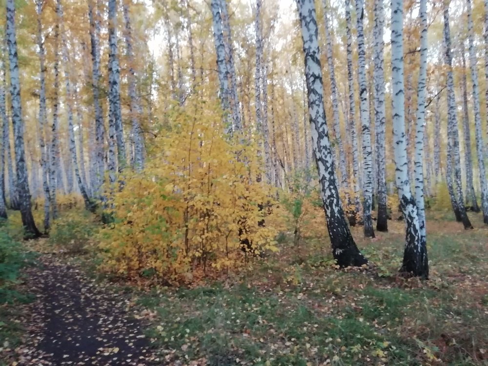 Photo #5070106