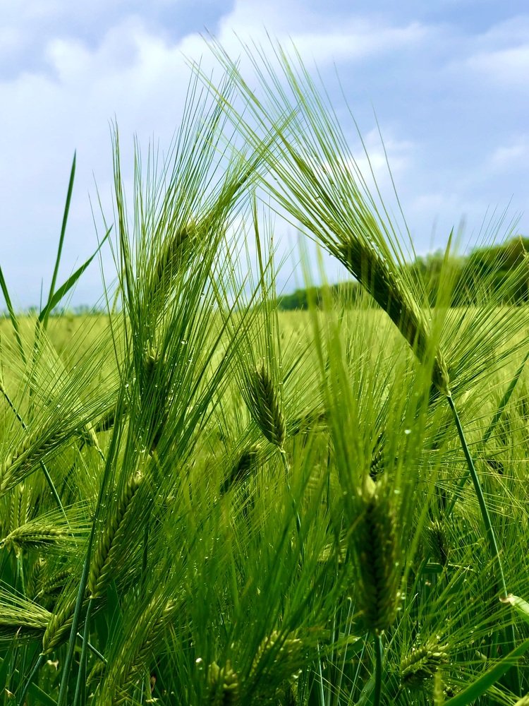 Photograph by Анна