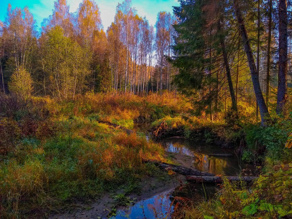 Photograph by Алексей Алексеев