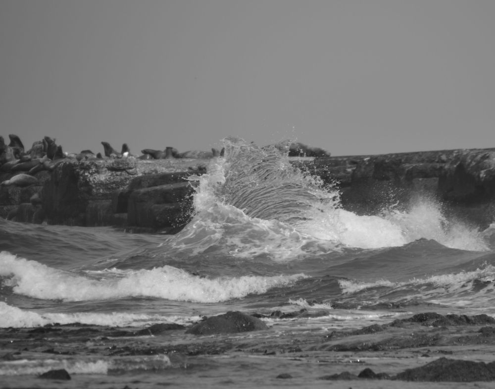 Фотография автора Станислав Ермолин