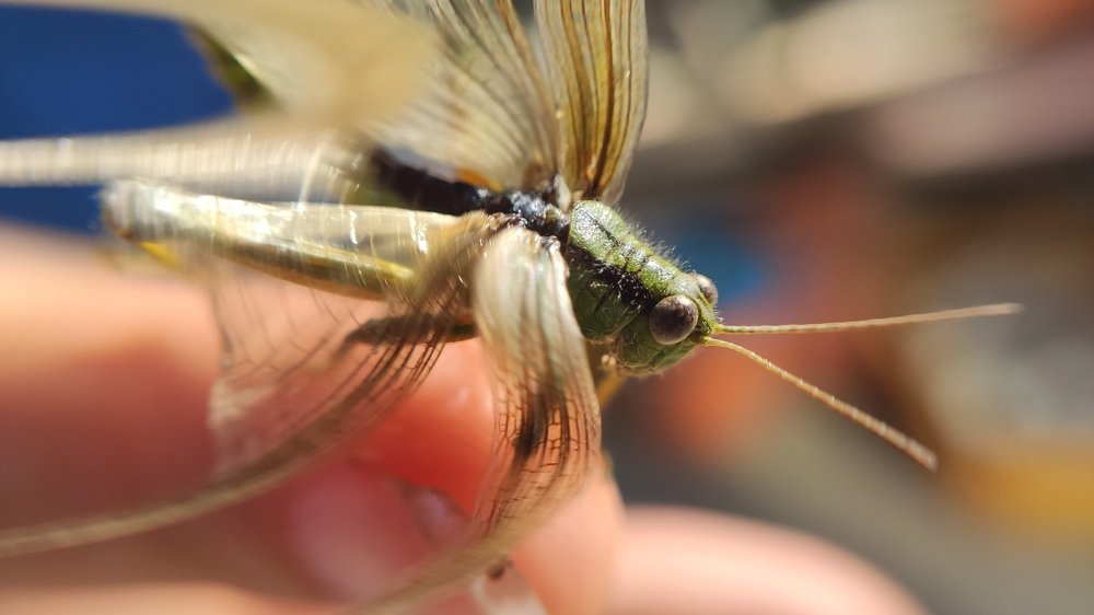 Фотография автора Станислав Ермолин
