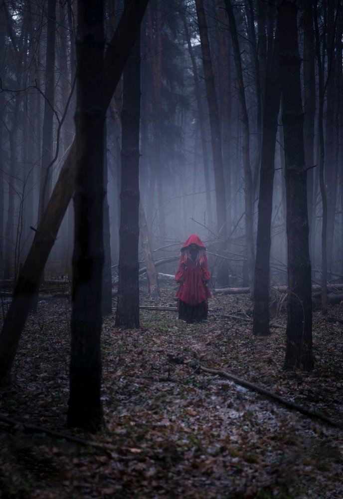 Фотография автора Evgeniya Fedorova