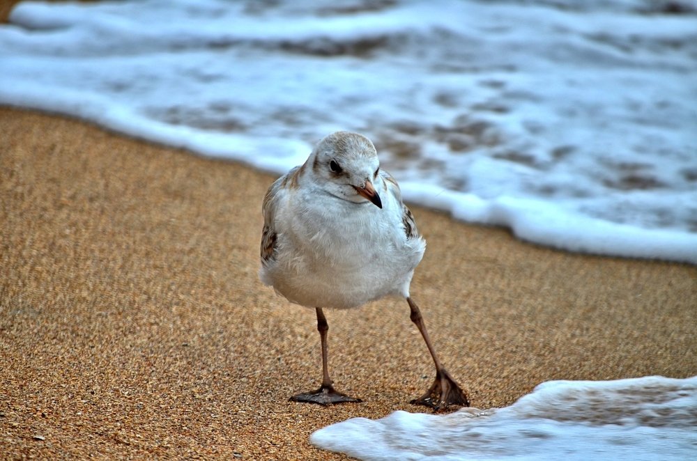 Photograph by Александр Бачурский
