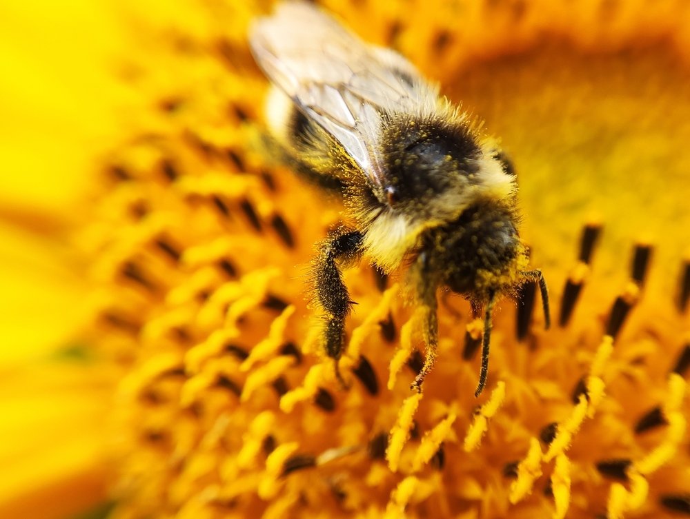 Фотография автора Станислав Ермолин