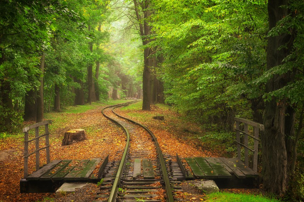 Photograph by Pavlo Lys