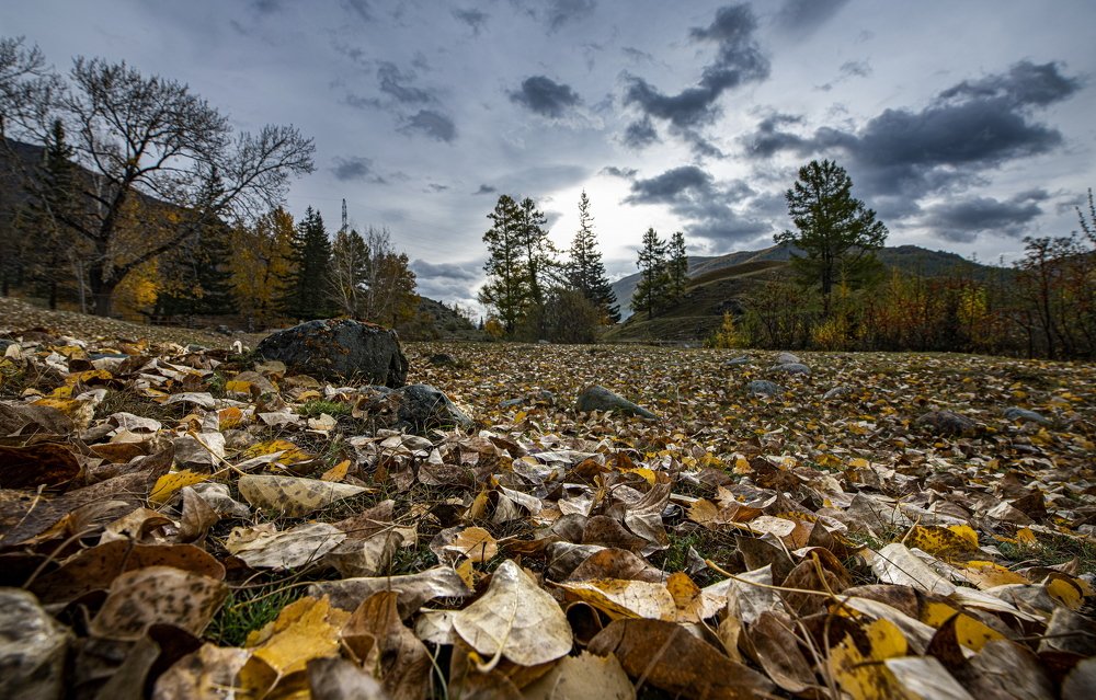 Photograph by Валентин Казанцев