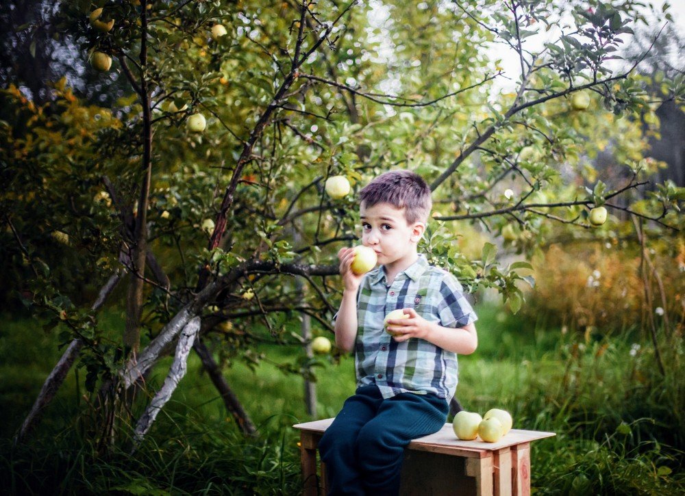 Фотография автора Надежда Бойкова