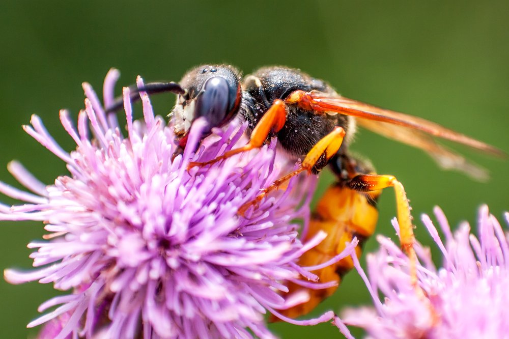 Photograph by Роман Приходько