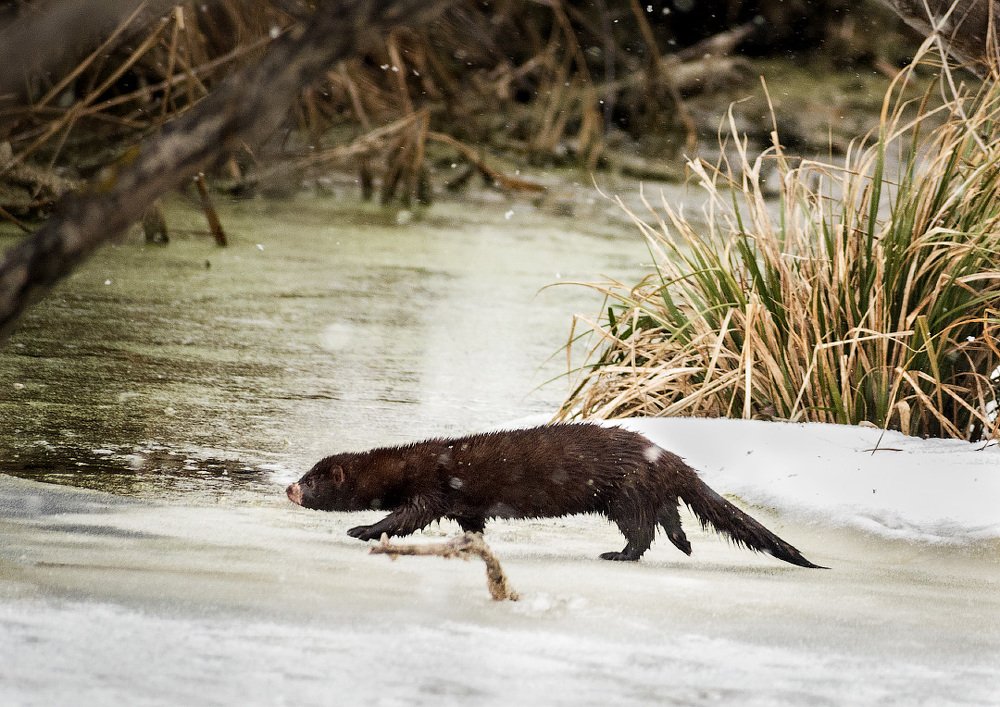 Photograph by Сергей Степанов
