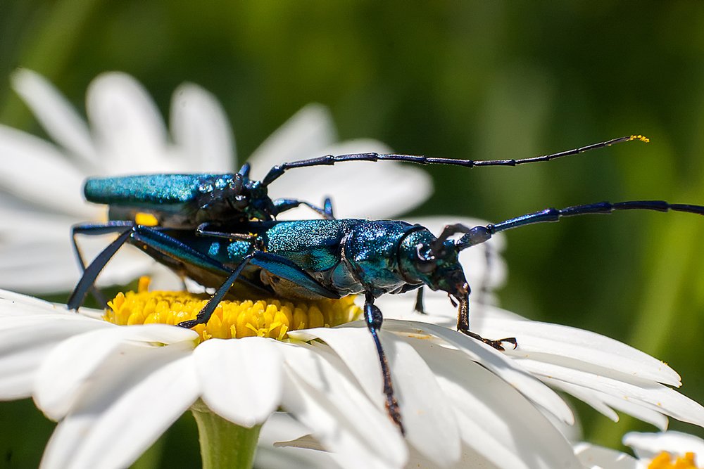 Photograph by Роман Приходько
