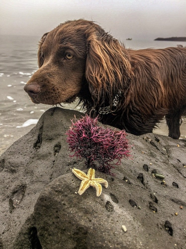 Photograph by Светлана Мейта