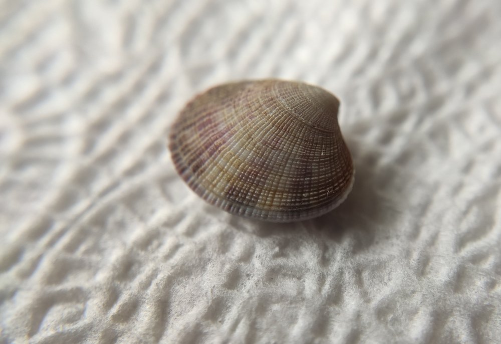 Фотография автора Станислав Ермолин