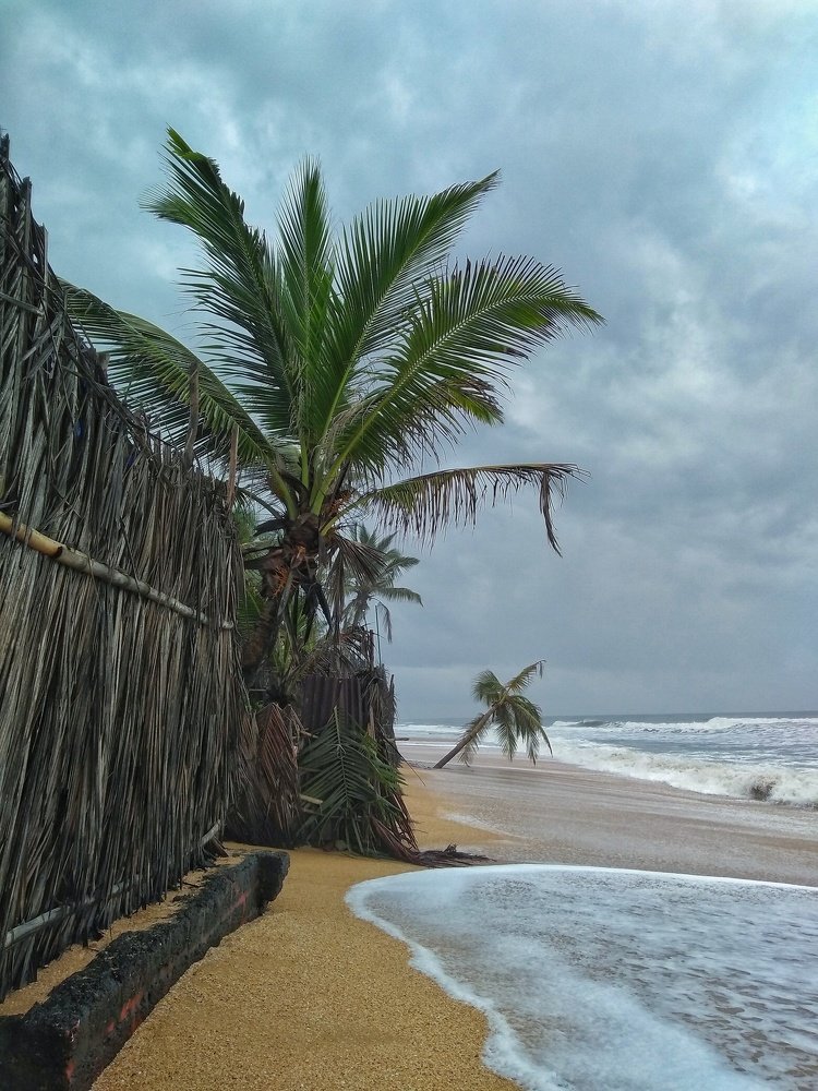 Photograph by Bhavana Kuntal