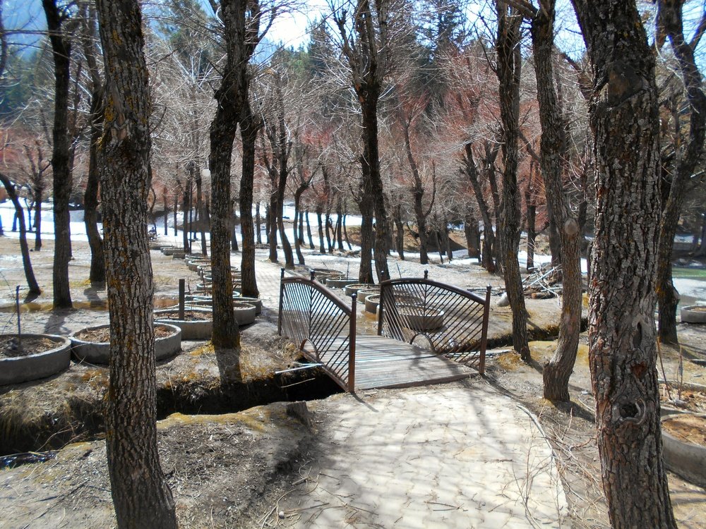 Photograph by Bhavana Kuntal