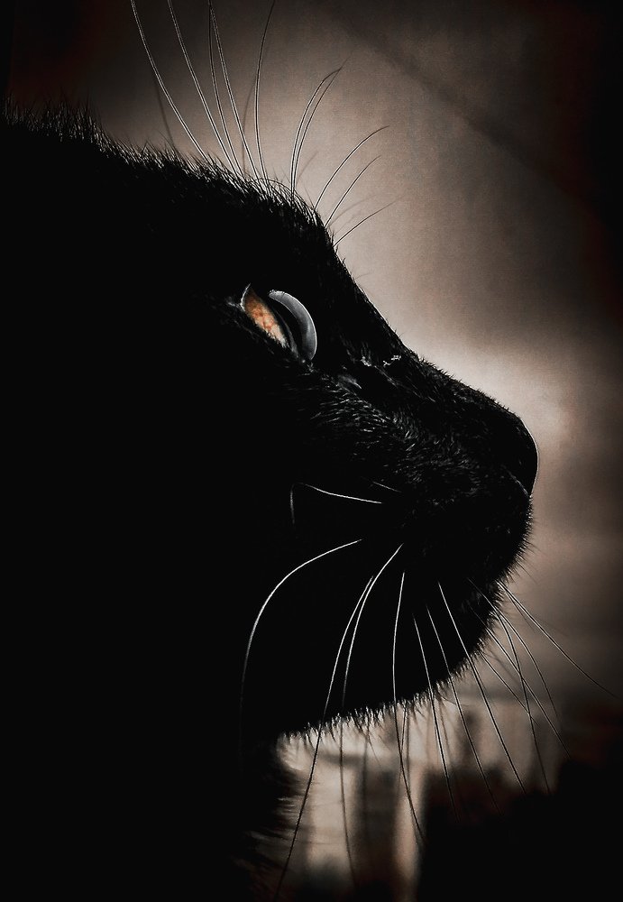 Photograph by Katja Sen