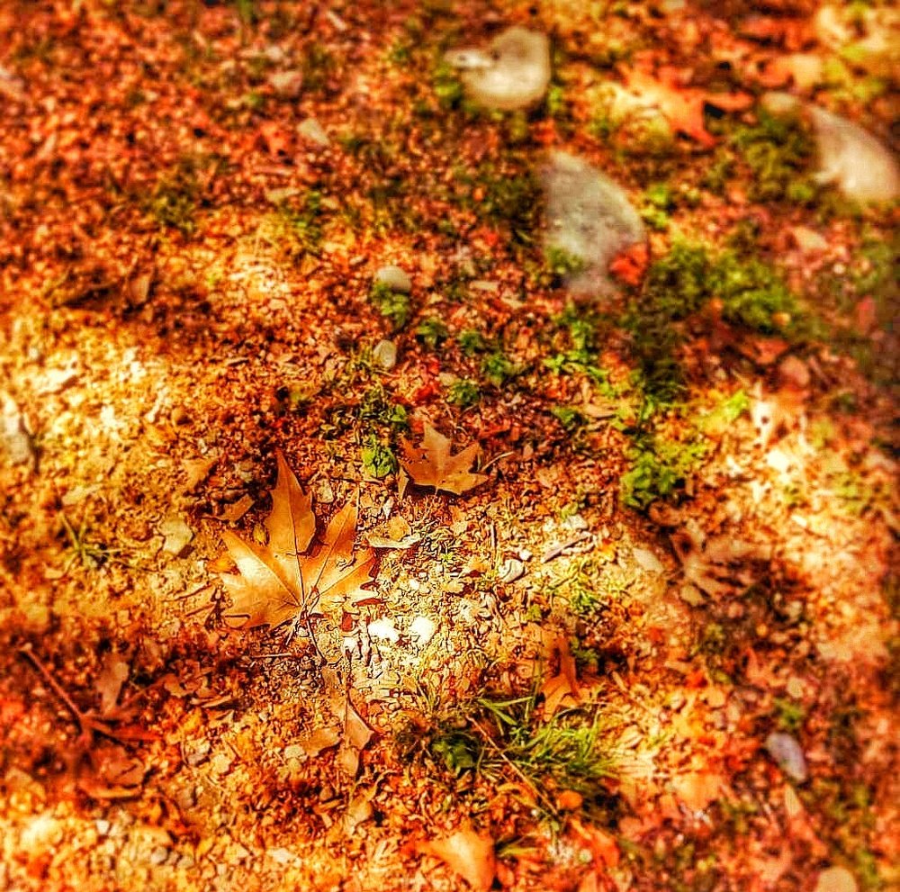 Photograph by Bhavana Kuntal