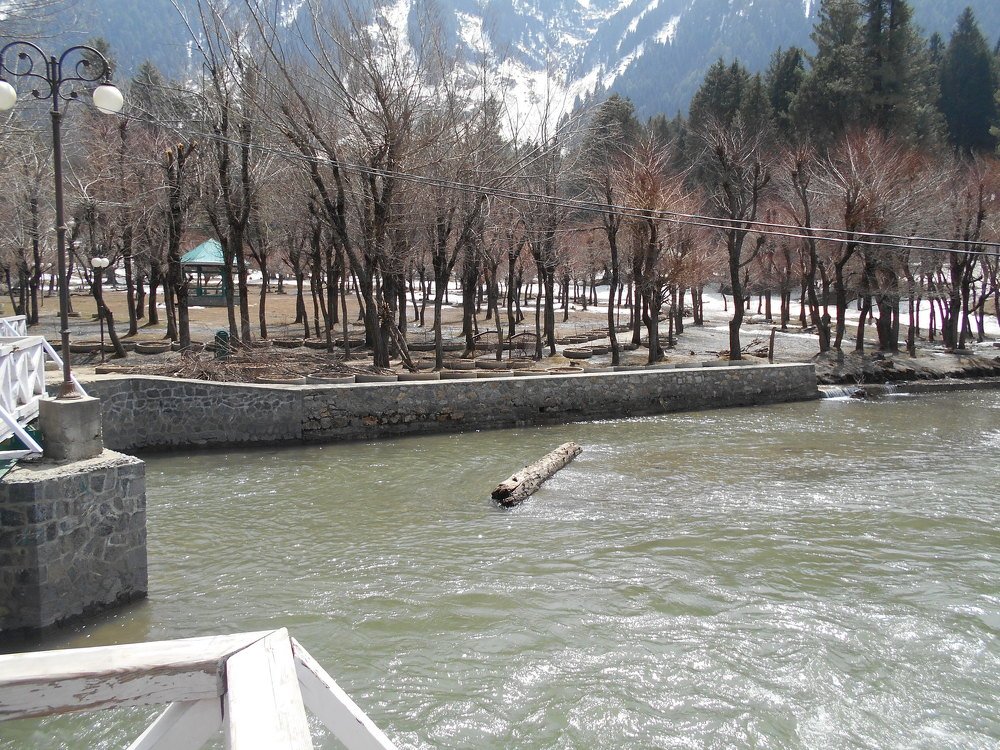 Photograph by Bhavana Kuntal