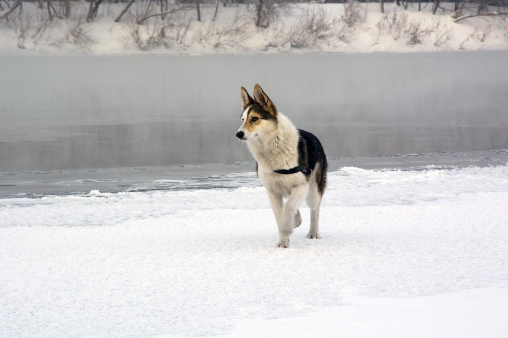 Photograph by Михаил Лавренков