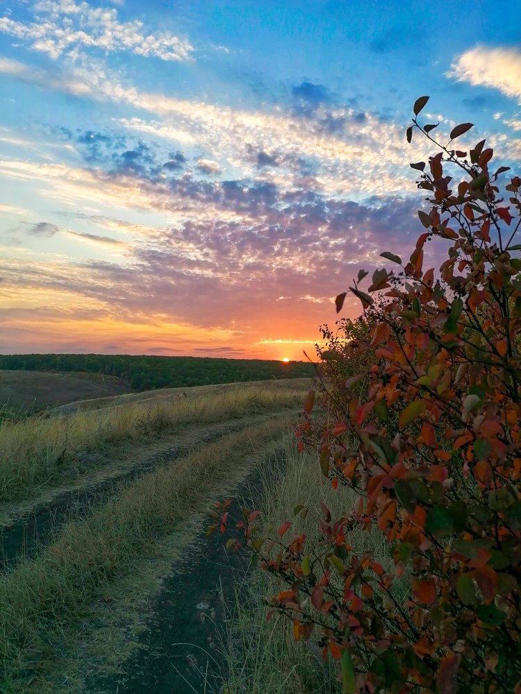 Photograph by Яна Шурупова