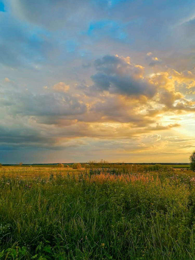 Тёплый вечер августа
