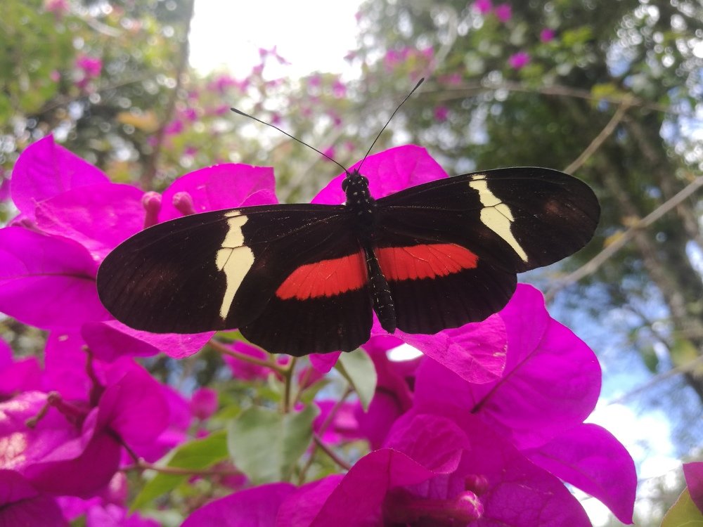 Photograph by YESID CASTRO