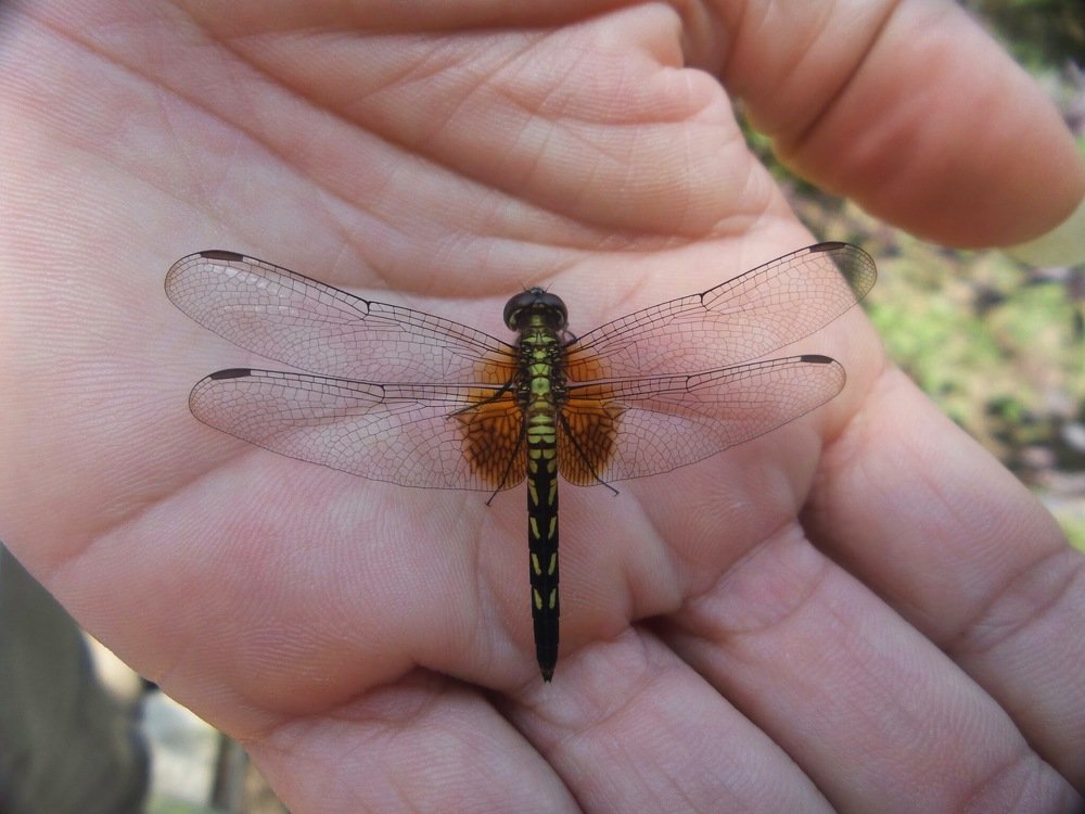 Photograph by YESID CASTRO