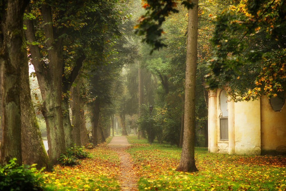 Photograph by Pavlo Lys