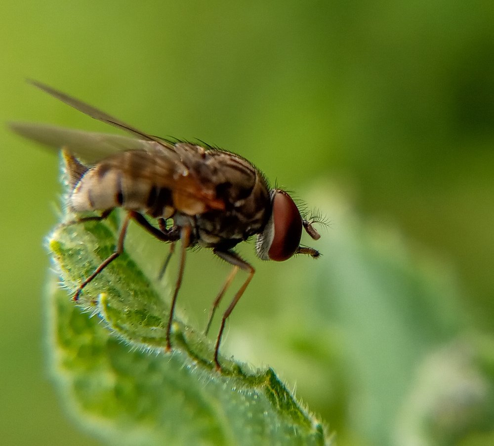 Photograph by Vijayakumar