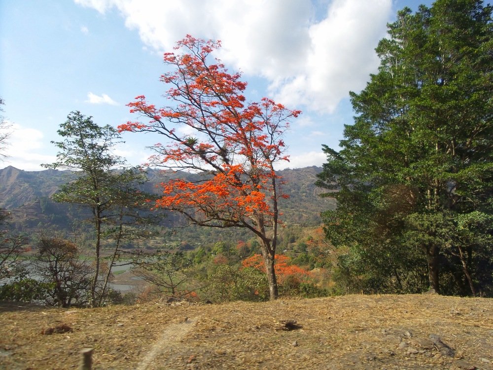 Photograph by YESID CASTRO