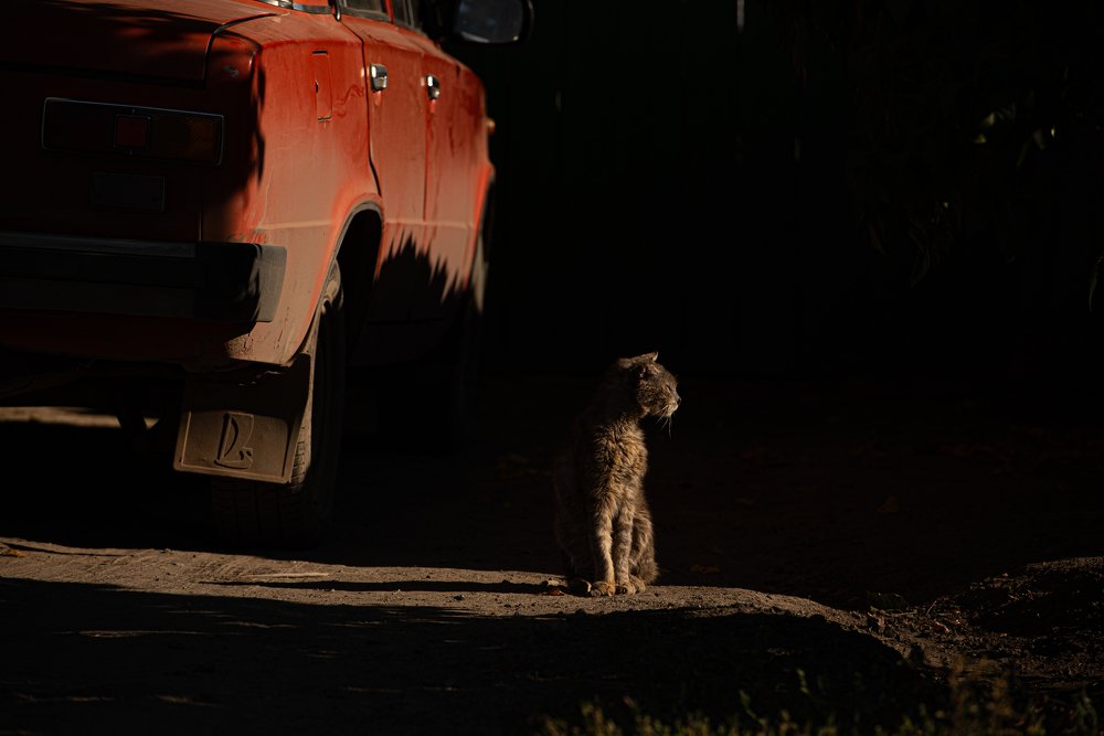 Photograph by Romsha Golos