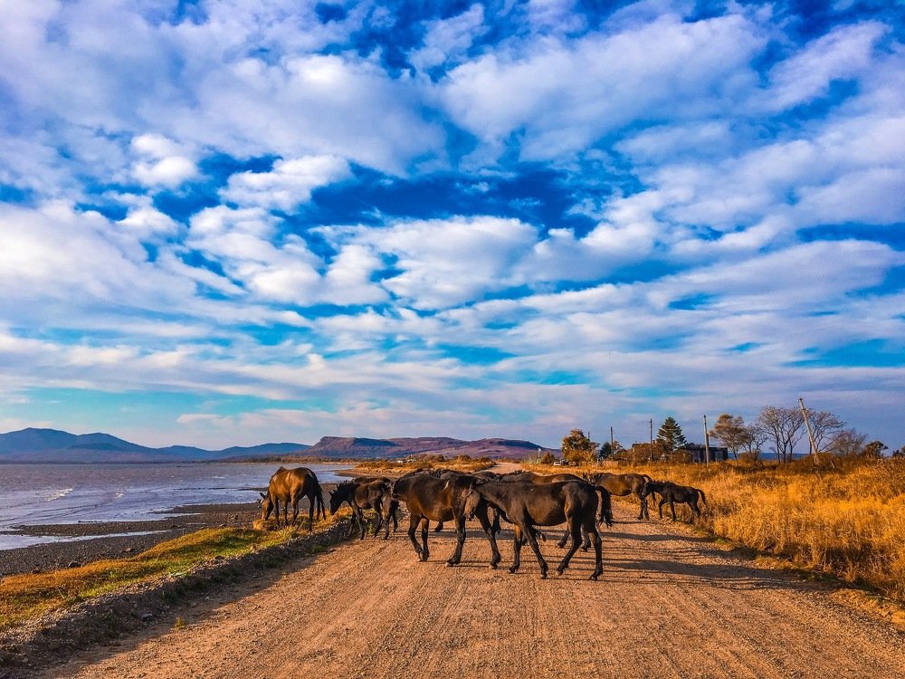 Photograph by Светлана Мейта