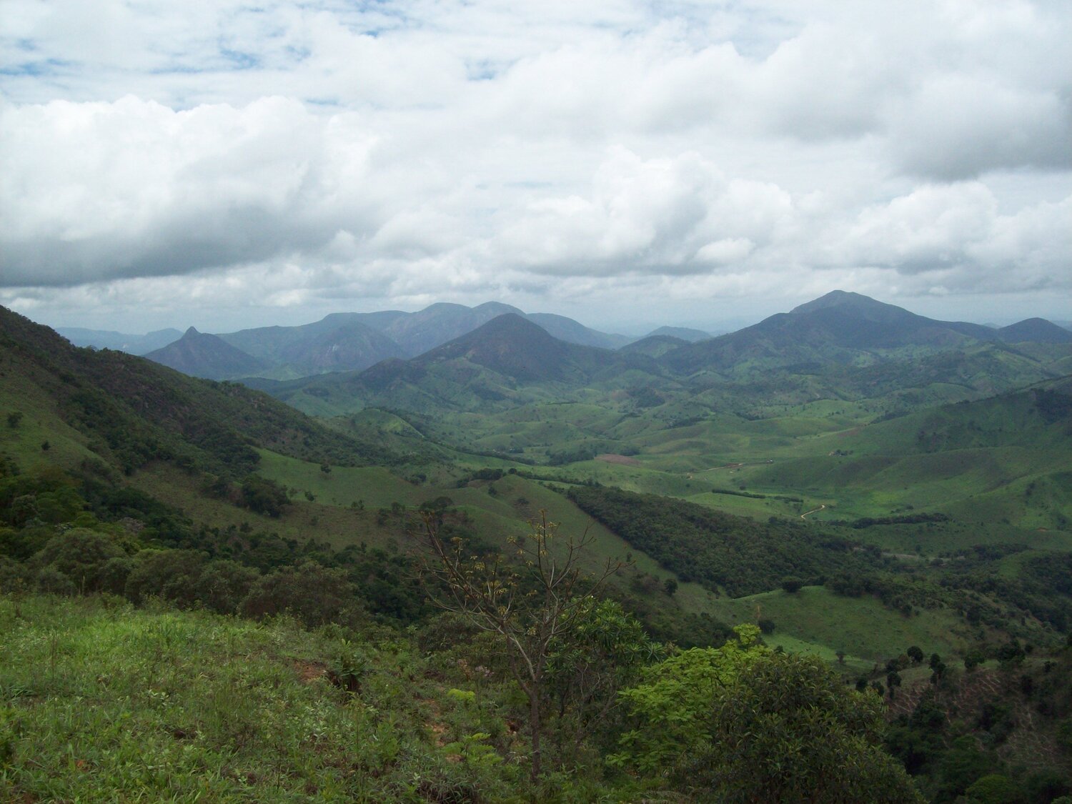 Photo #5070698
