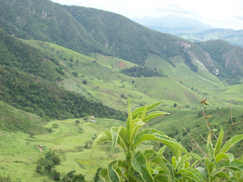 Photo #5070699