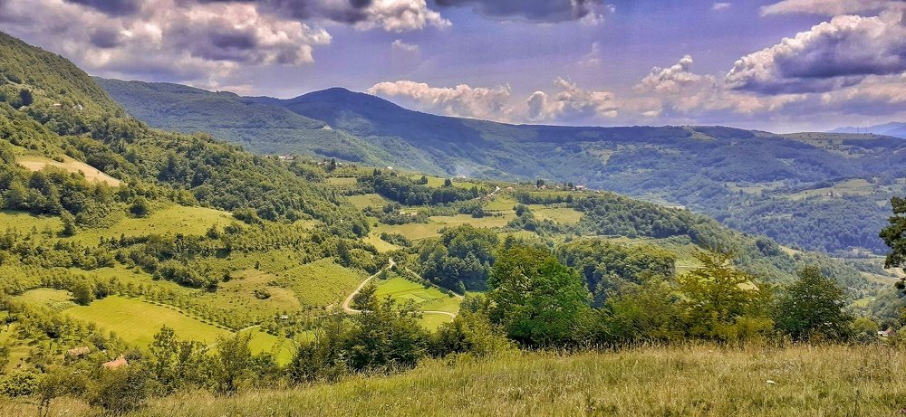 Фотография автора Milan Stipanovic