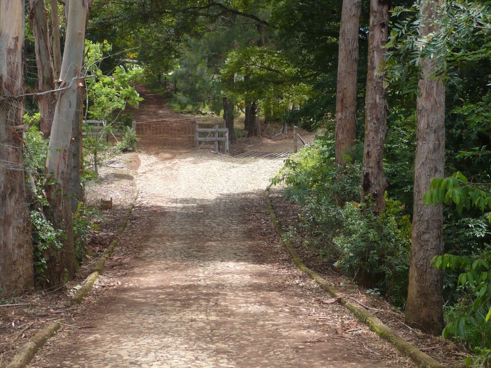 Caminhos.