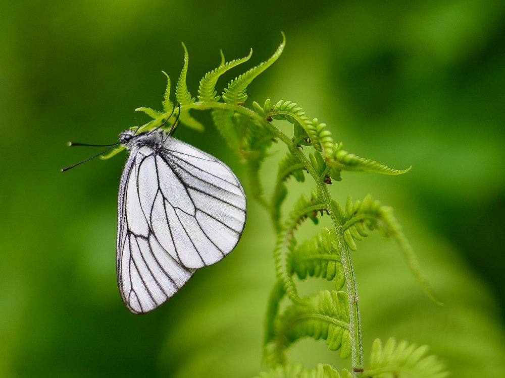 Photograph by Сергей Глухарев