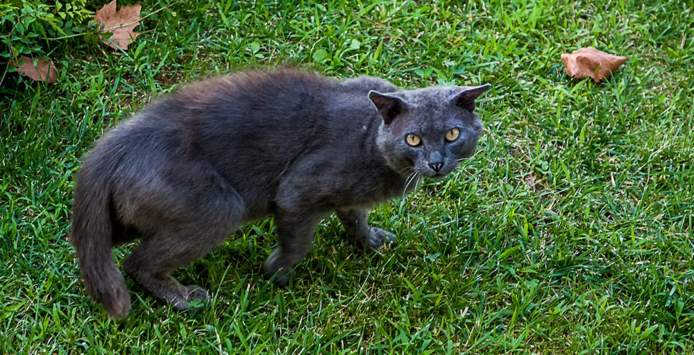 Photograph by Роман Приходько