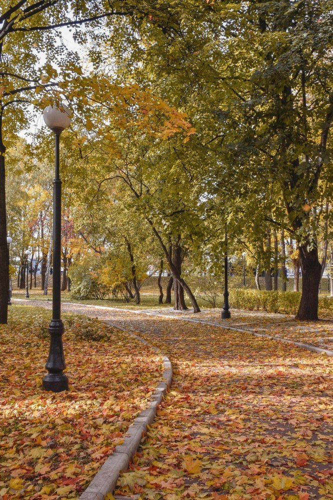 Photograph by Olga Yankus