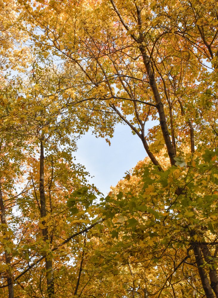 Photograph by Olga Yankus