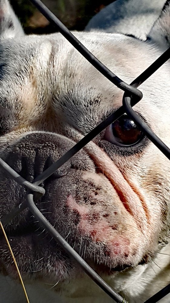 Фотография автора Павел Барский