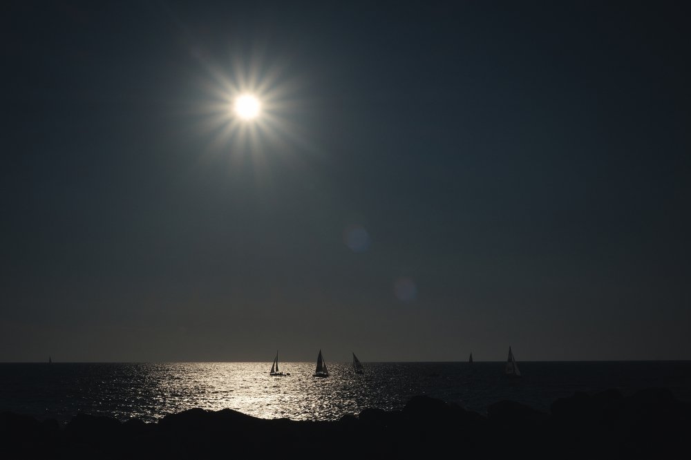 Photograph by Мария Давыдова