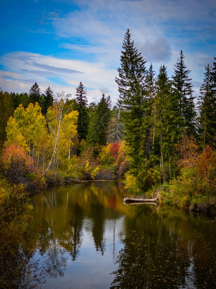 Photograph by Сергей Глухарев