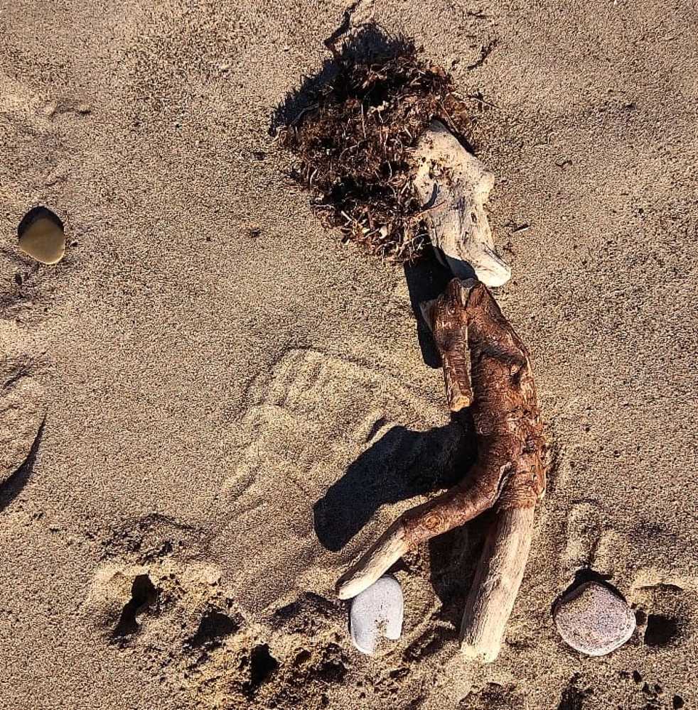 Photograph by Светлана Збраилова